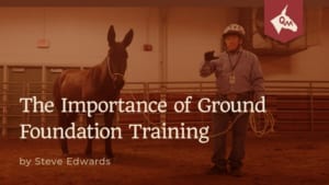 The Importance of Ground Foundation Training