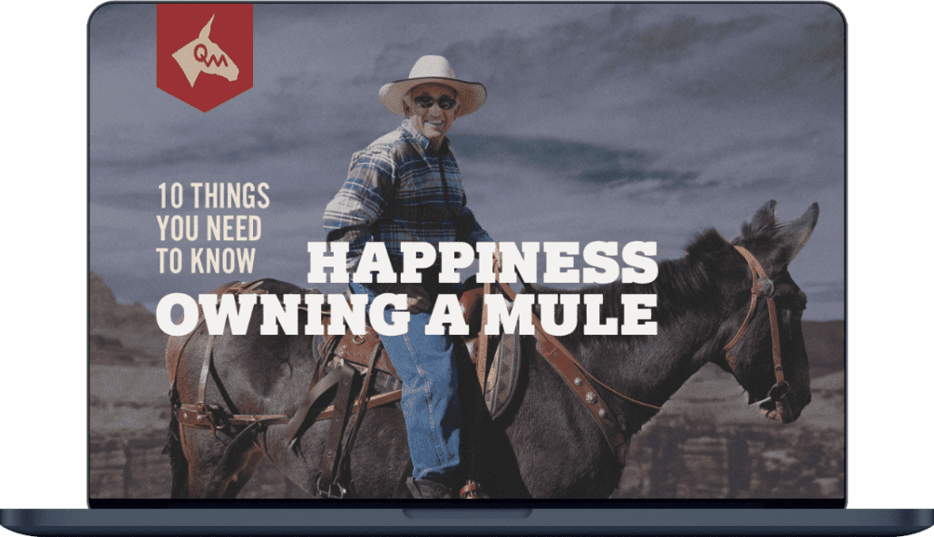 Happiness webinar